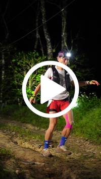 BIB:  <button type="button" onclick="openModal(27559264)" class="btn btn-primary btn-sm float-right" data-toggle="modal" data-target=".modal-high-quality">
                <i class="fa fa-download"></i> Download
                </button>